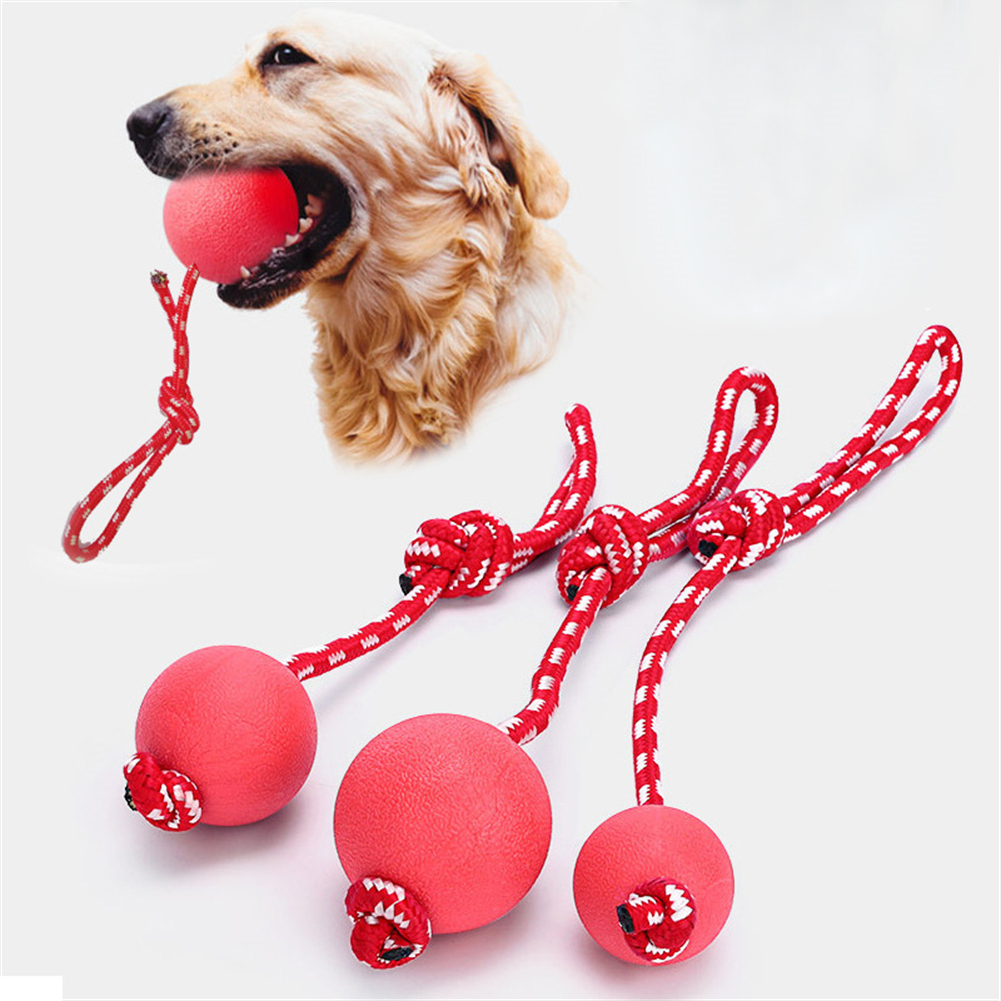 10 pelotas de juguete para perros para masticadores agresivos, pelota  interactiva para perros para aburrimiento y estimulación, pelota flotante  de