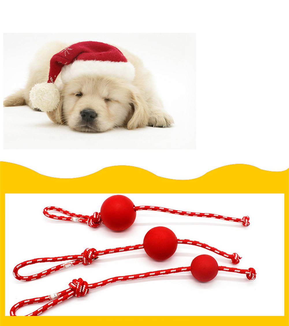 Jouets indestructibles à mâcher pour chien jouets interactifs – Petmonde