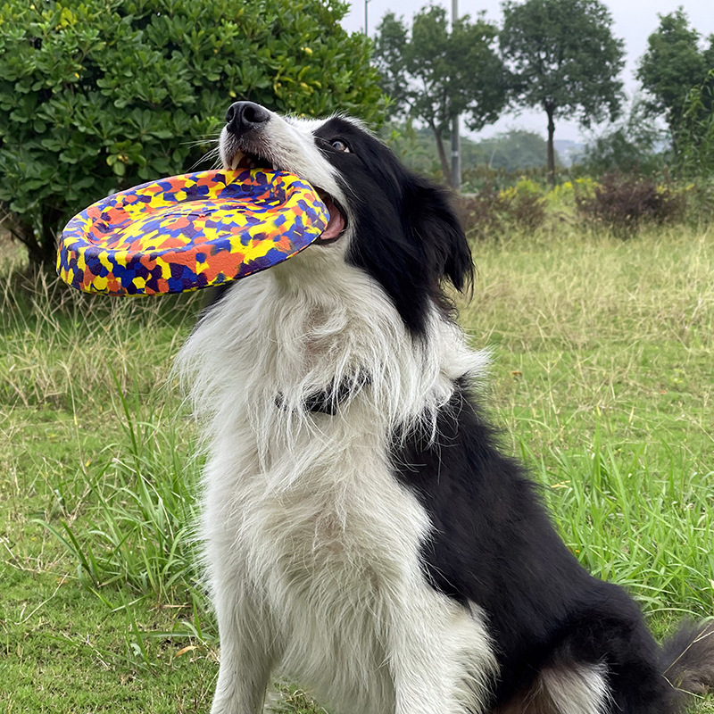 Tough frisbees outlet for dogs