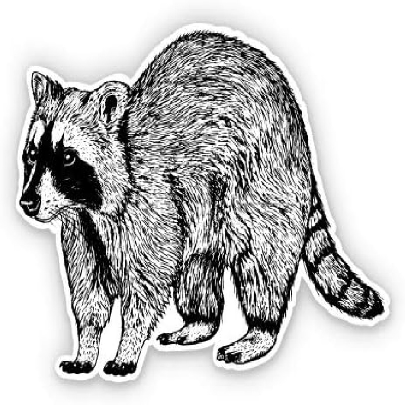 Raccoon Vinyl Sticker Car Laptop Water Bottle Waterproof Temu Australia