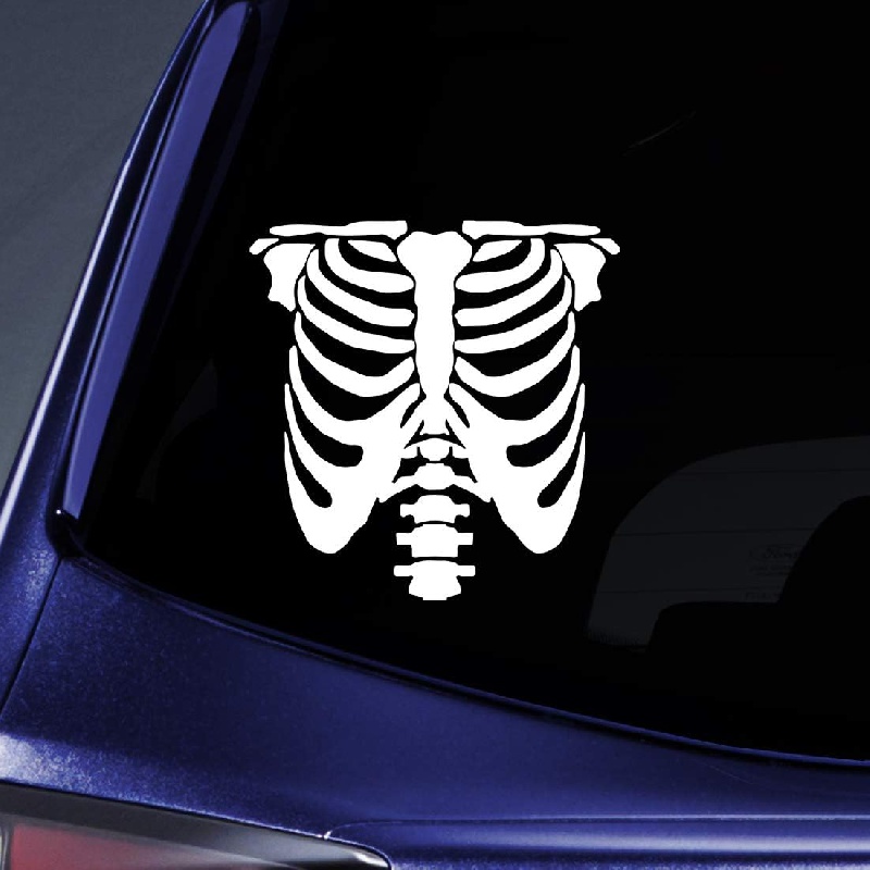 Oracal 651 Car Decals -  Australia