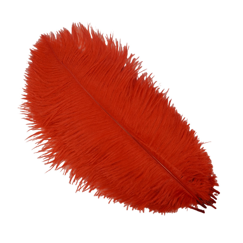 Plumas Avestruz 15-20cm