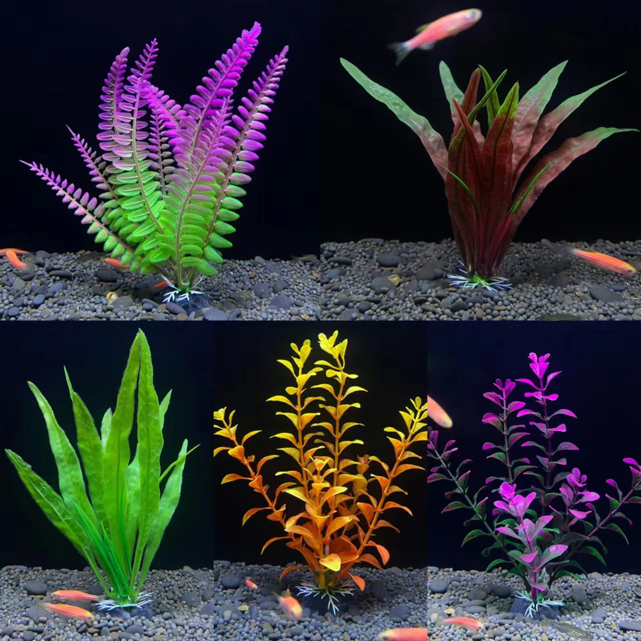 Plant Aquarium Kit - Temu