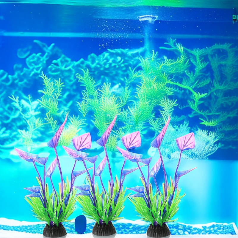 freshwater underwater plants