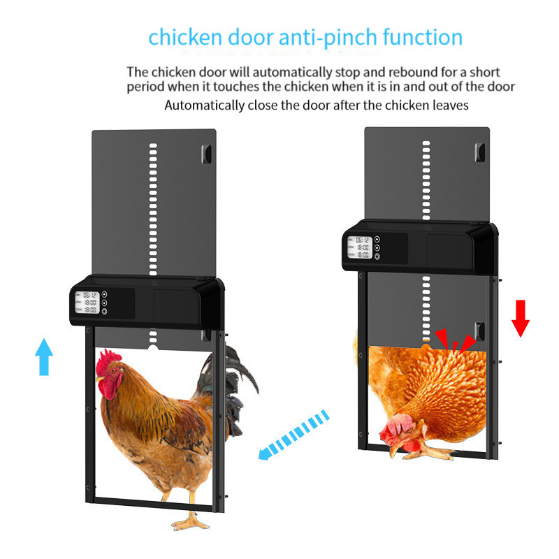 Puerta automática para gallinero con temporizador, modo manual,  antipellizcos, todo metal, casa de gallinero, accesorios de gallinero,  puerta