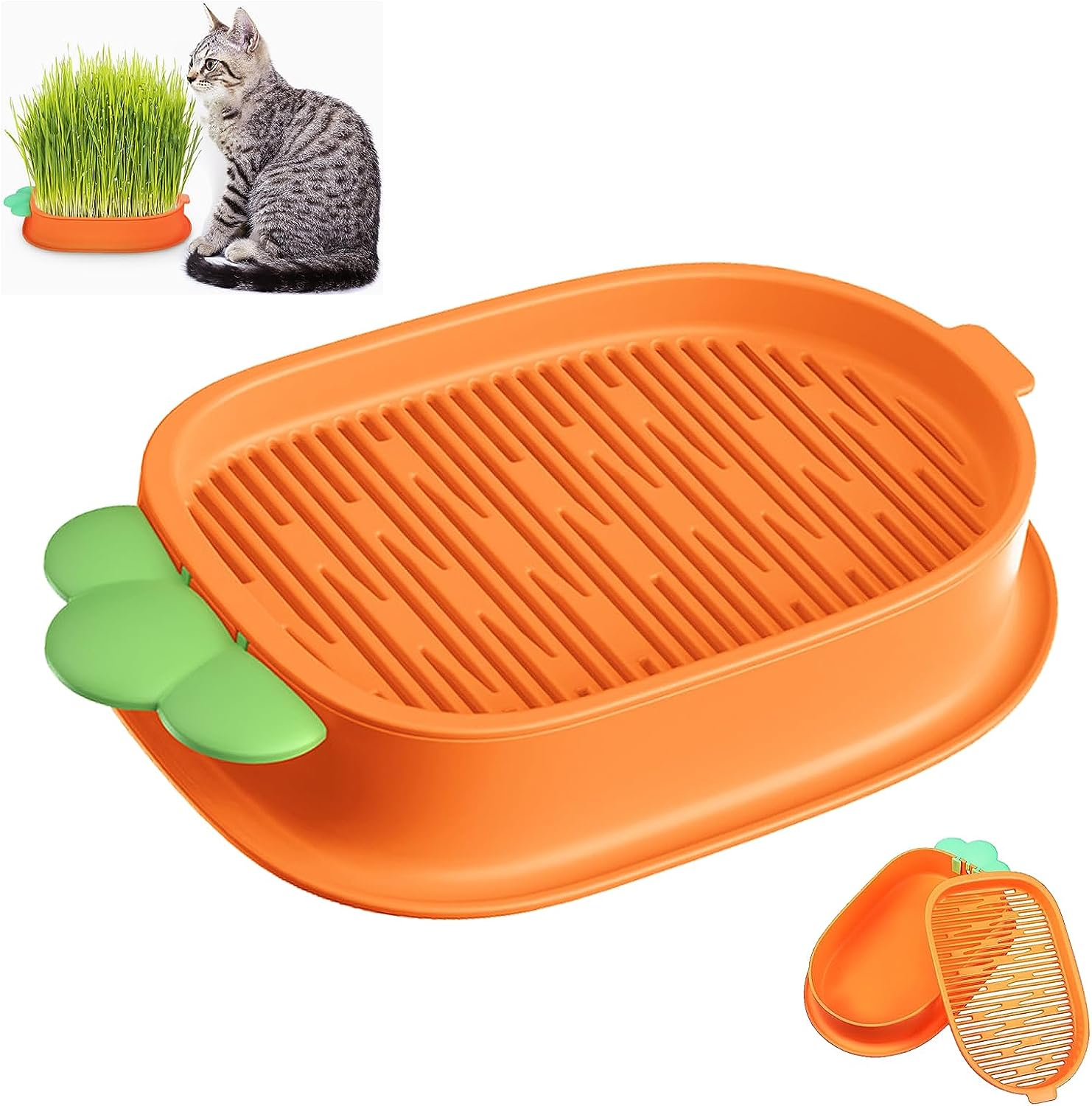 Hydroponique Chat Herbe Planteur Plateau Plastique Cataire Cat Herbe Boîte  de Terre Sans Chat Herbe Growing Box Chats Snack Tray