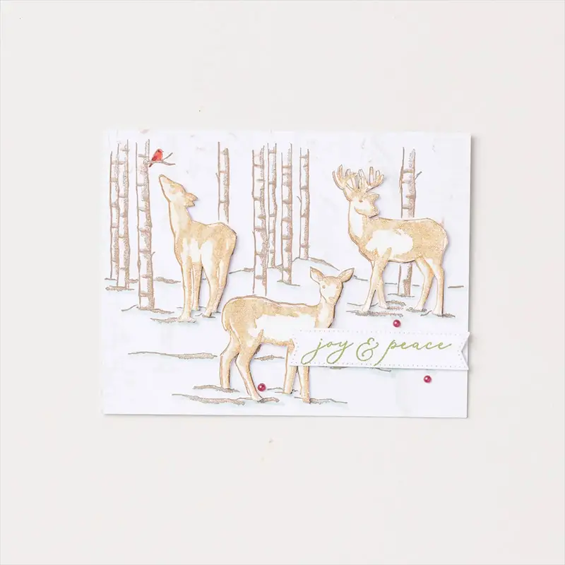 All Around Christmas Stampin Up Stamps And Dies 2024 - Temu