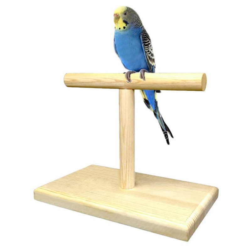 Pet Parrot Bird Standing Stick Wood Pole Parrot Jouet Oiseau