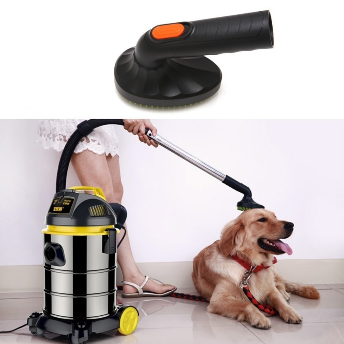 Secadora Aseo Mascotas Limpieza Automática 2 en 1 Secador - Temu