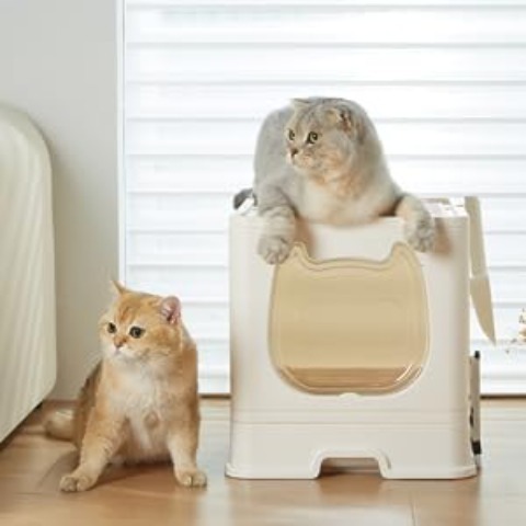 Foldable Cat Litter Box Lid Indoor Cats Fully Enclosed Cat - Temu