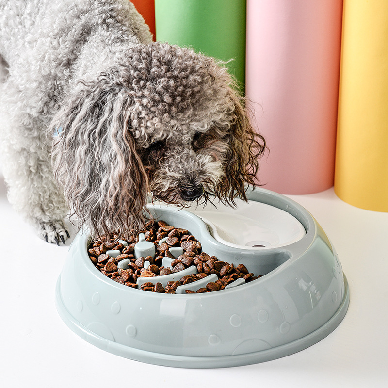 Petsmart top dog feeder