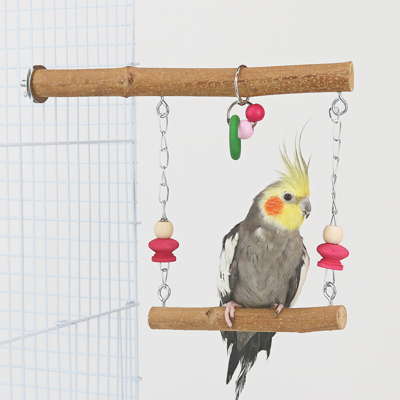 Cockatiel favorite clearance toys