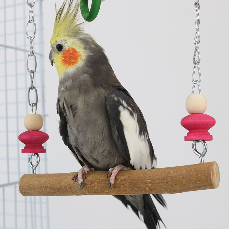 Cockatiel sales bird accessories