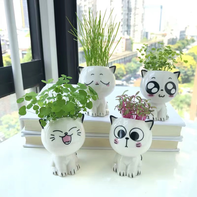 

1pc, Ceramic Flowerpot Mini Cat Shaped Cartoon Cute Potted Plant Desktop Potted Cat Plant Pot Diy Desk Decorate Science Education School Gift