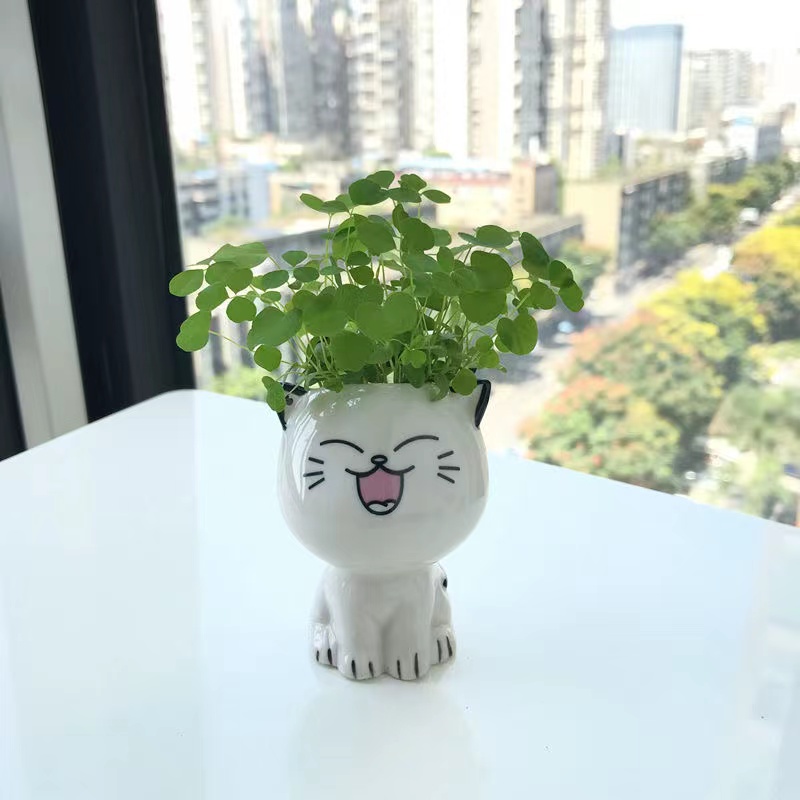 TEMU 1pc, Ceramic Flowerpot Cat Shaped Cartoon Potted Plant Desktop Potted Cat Plant Pot Diy Desk Decorate Science Education School Gift