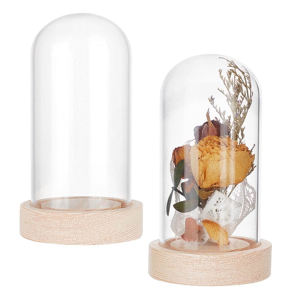 ZEELYDE Food Covers,Splatter Covers,Clear Glass Display Dome Eternal Flower  Dome Antique Bell Jar Display Dome with Rustic Wooden Base Home Decorative