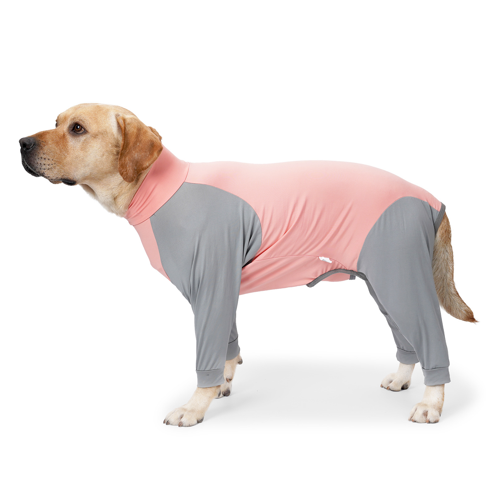 Dog jumpsuit hotsell for shedding