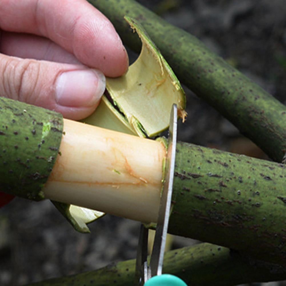 Gardening Fruit Tree Girdling Knife Girdling Shears Seedling Temu