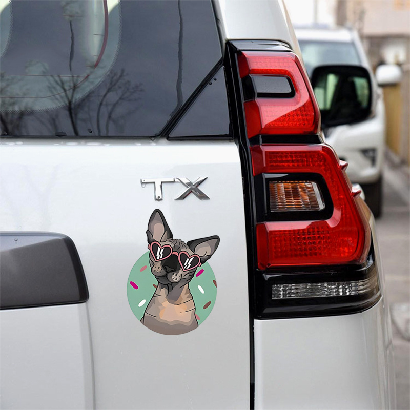 Chien en voiture Logo citation devise pour animaux de compagnie animaux  voiture véhicule pare-chocs autocollant Humour drôle Van vélo moto mur  portable iPad fenêtre -  France