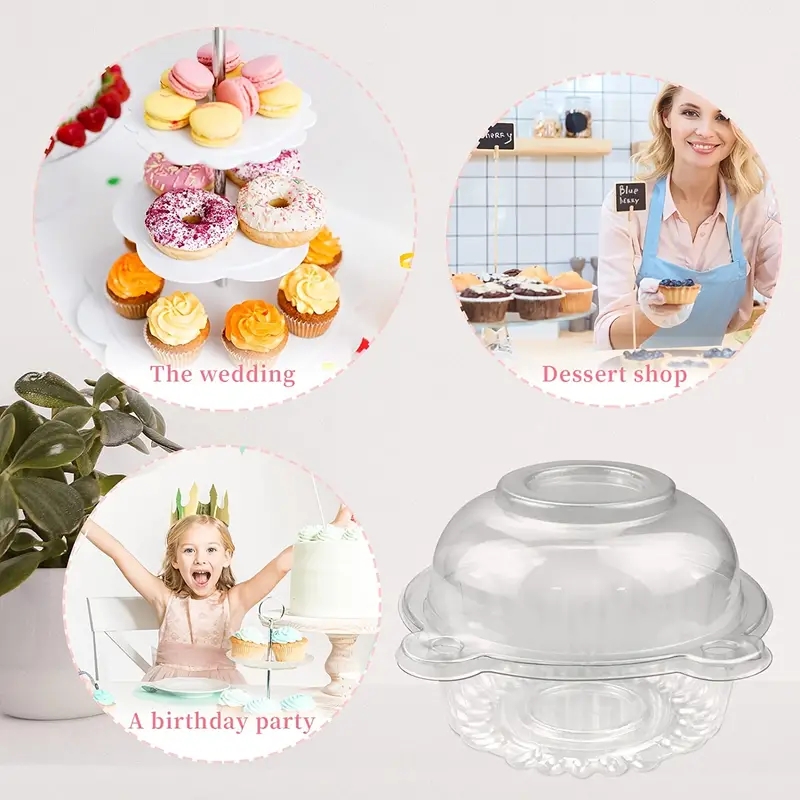 Shop Cake Display Accessories - Next Day Delivery