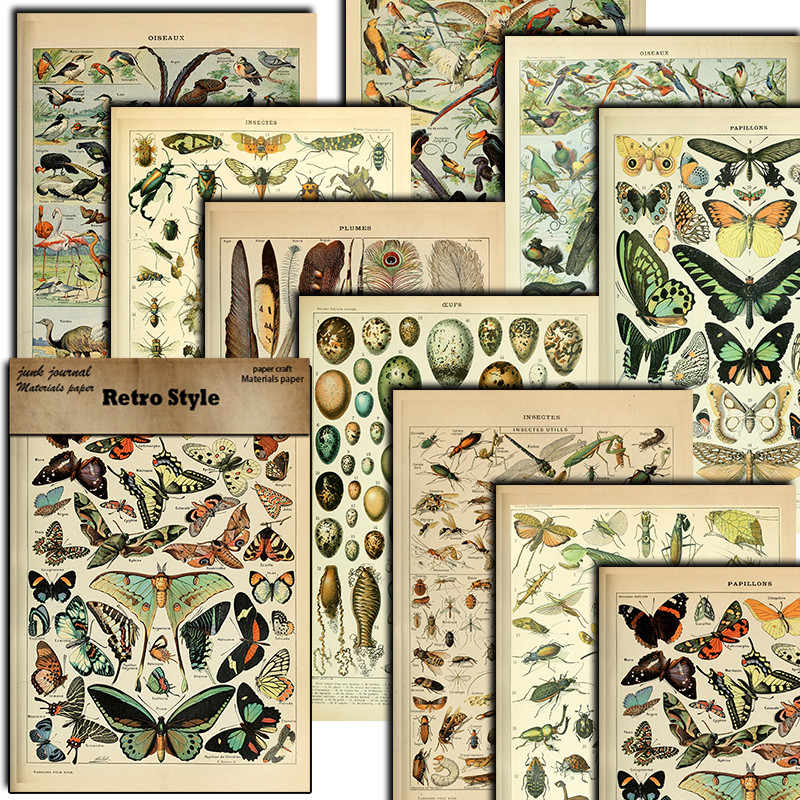 

10pcs Large Size Insect Material Paper Retro Journal Decoration For Diy Tools Student Stationery Arts Crafts