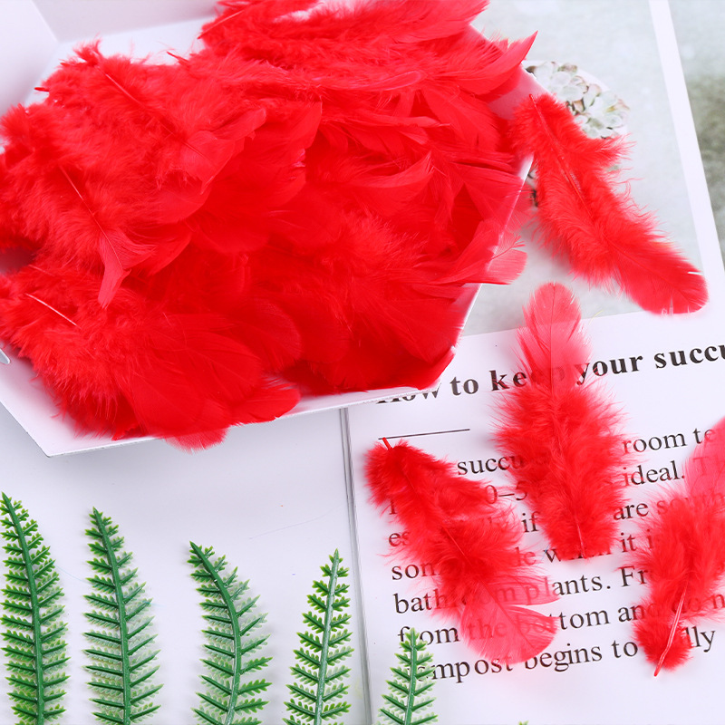 Feather Wedding Home Decoration Accessories