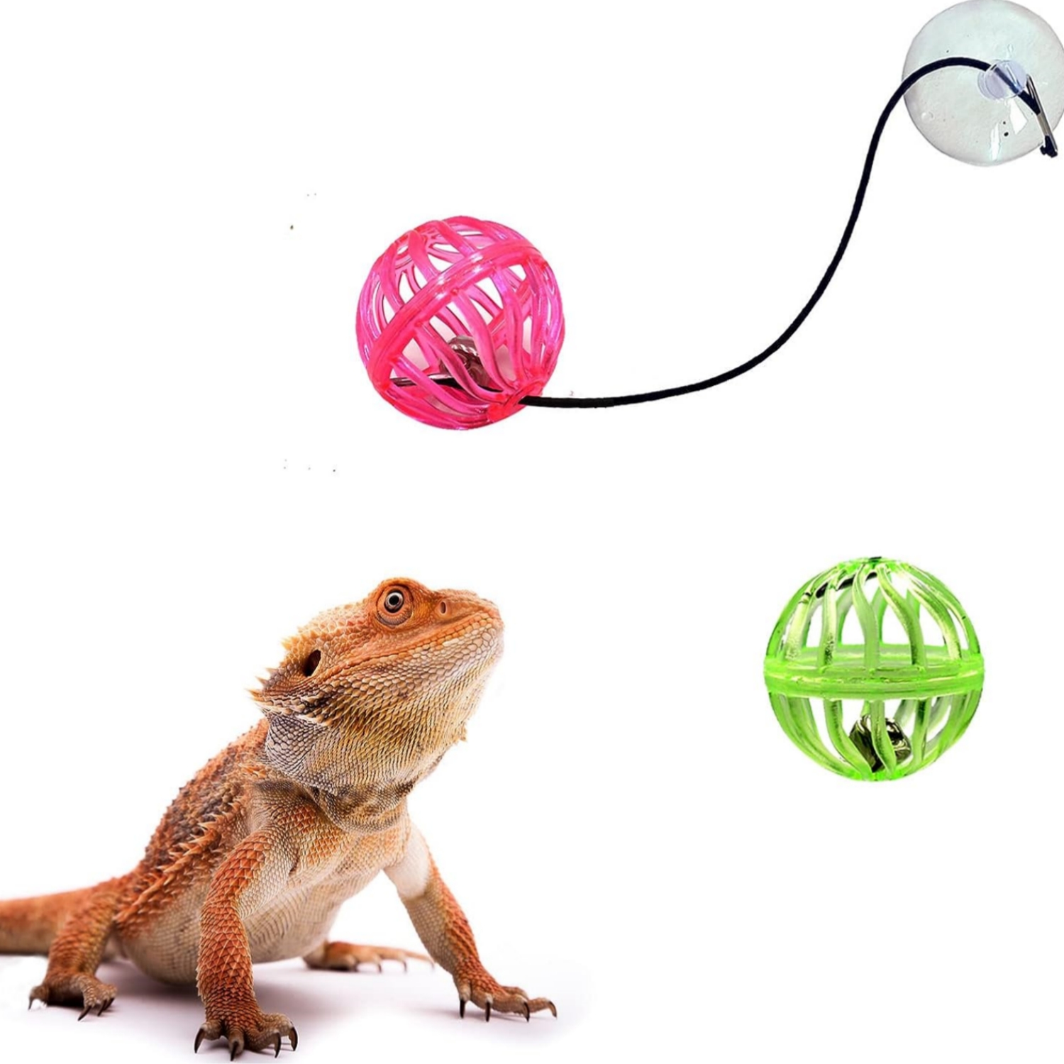 Bearded Dragon Toy Bell Ball with Suction Cup and Rope
