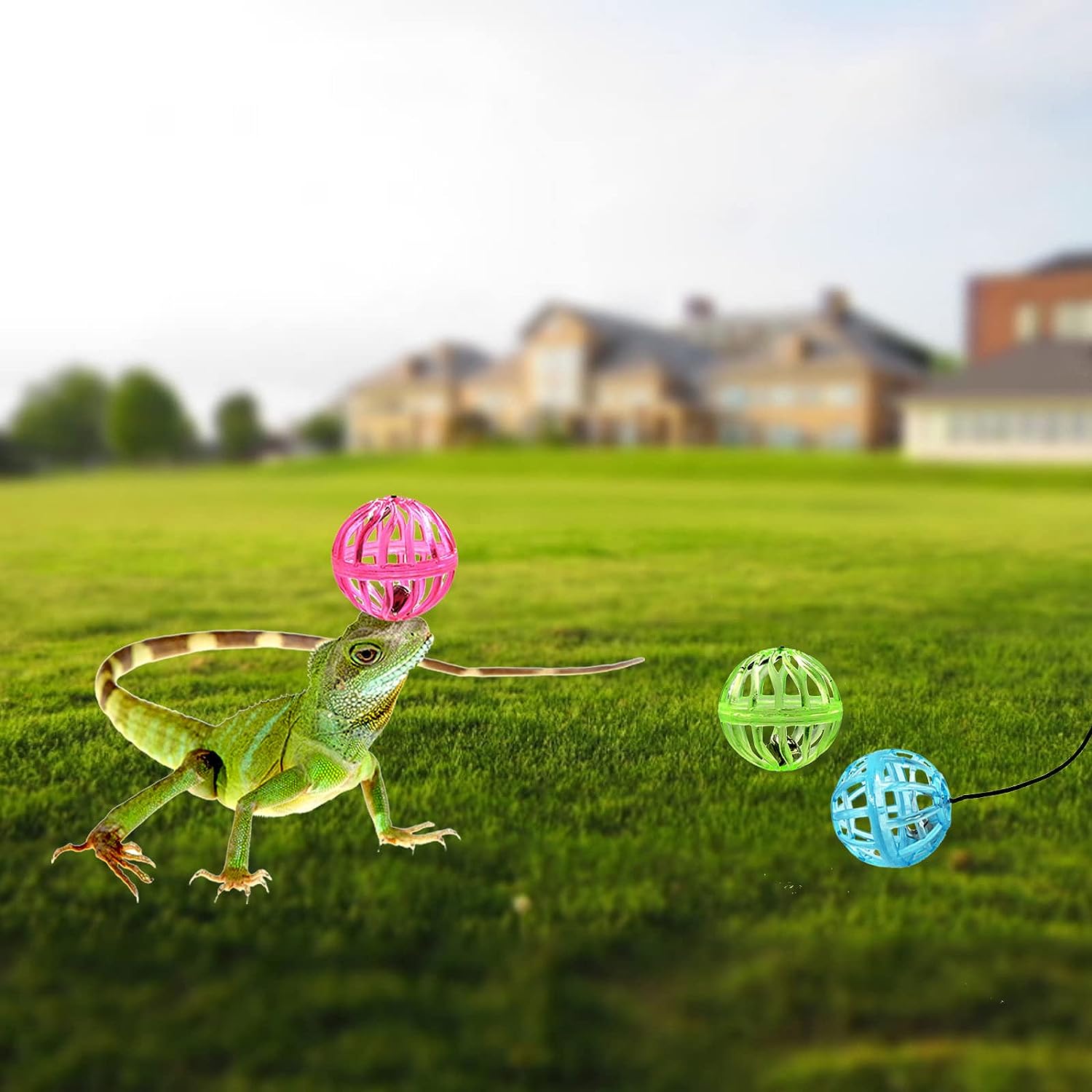 Bearded Dragon Toy Bell Ball with Suction Cup and Rope