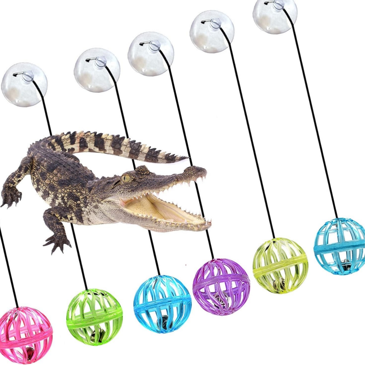 Bearded Dragon Toy Bell Ball with Suction Cup and Rope