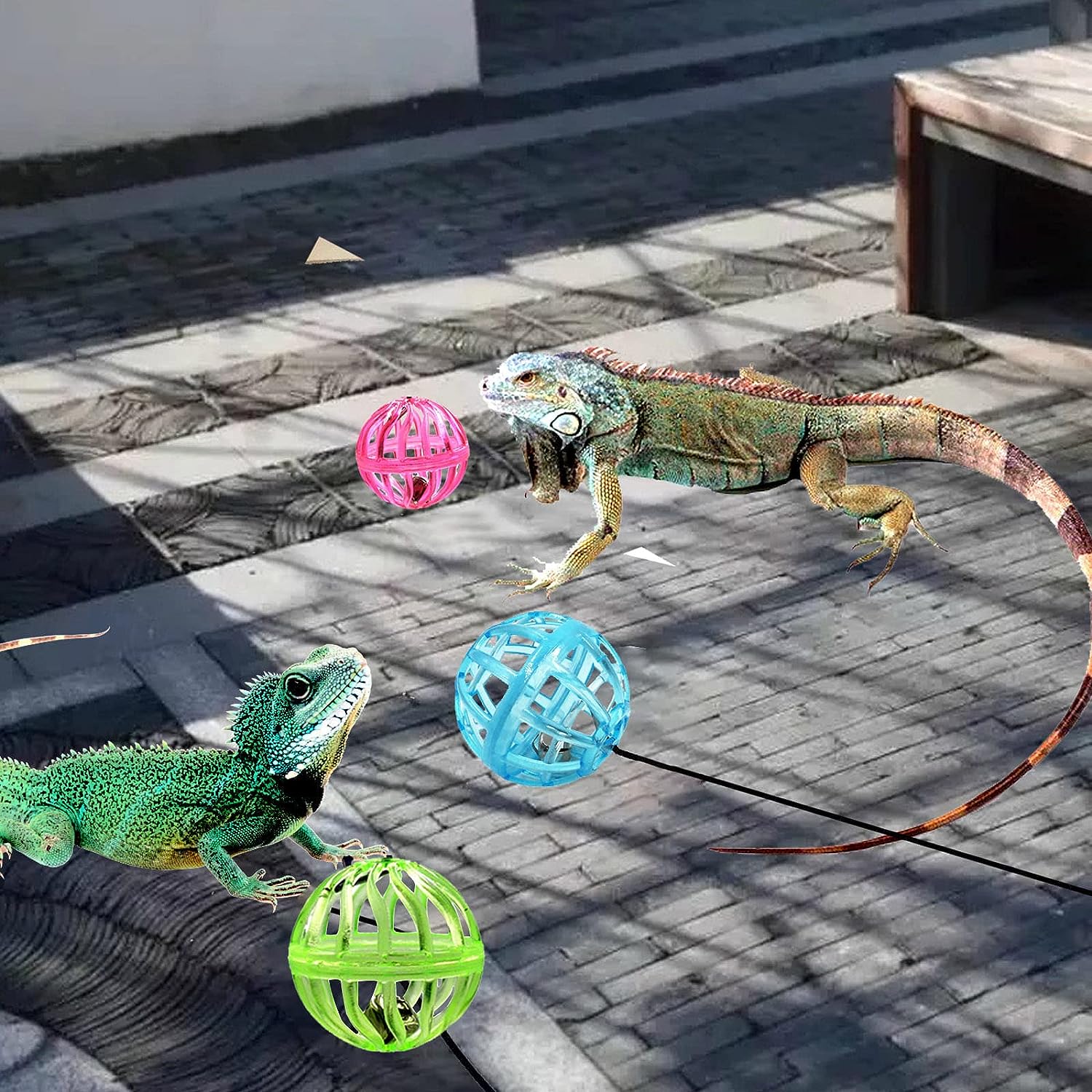 Bearded Dragon Toy Bell Ball with Suction Cup and Rope