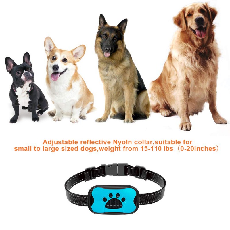 Dog training collar with automatic best sale bark control