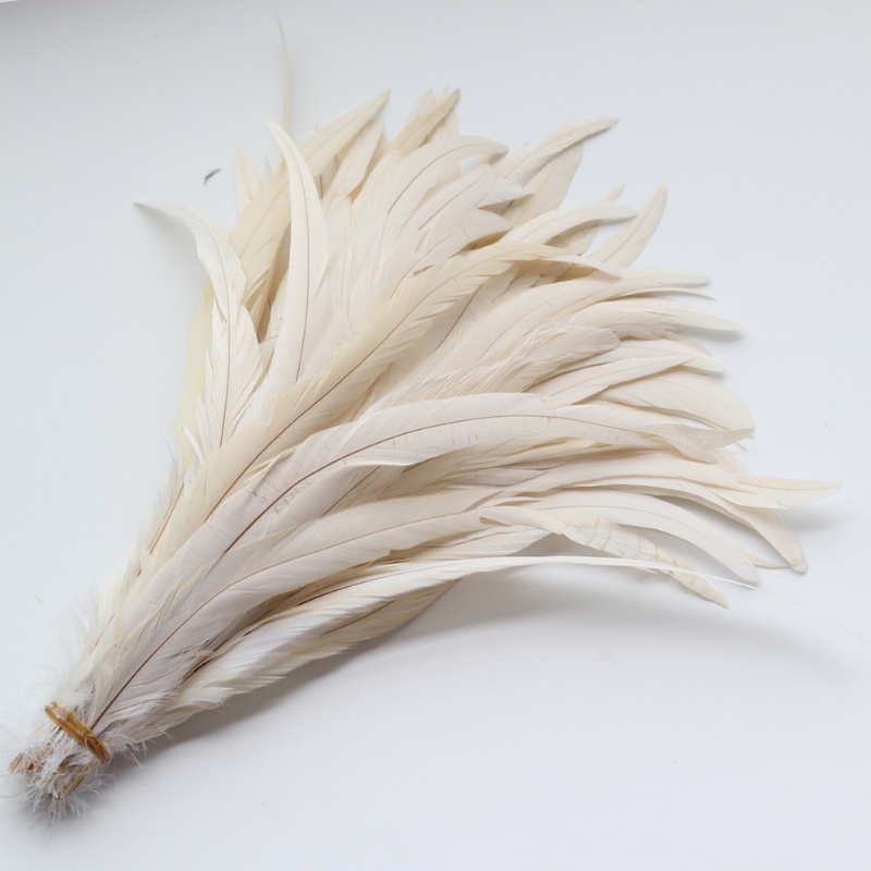Feathers - Temu