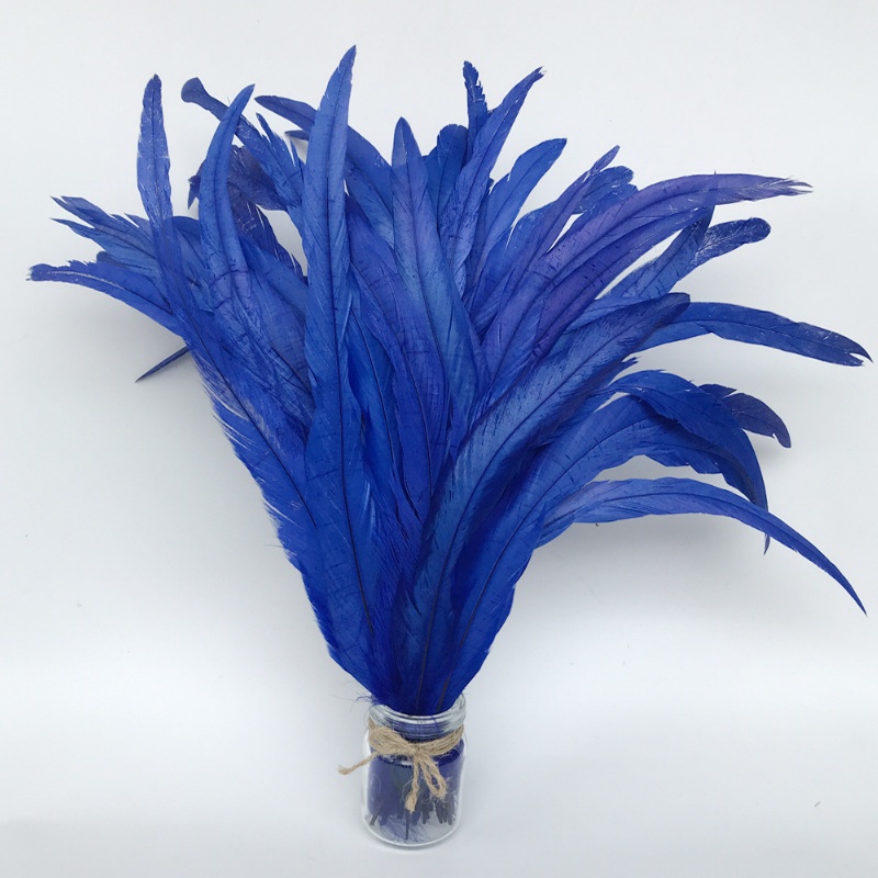 Rooster Feathers
