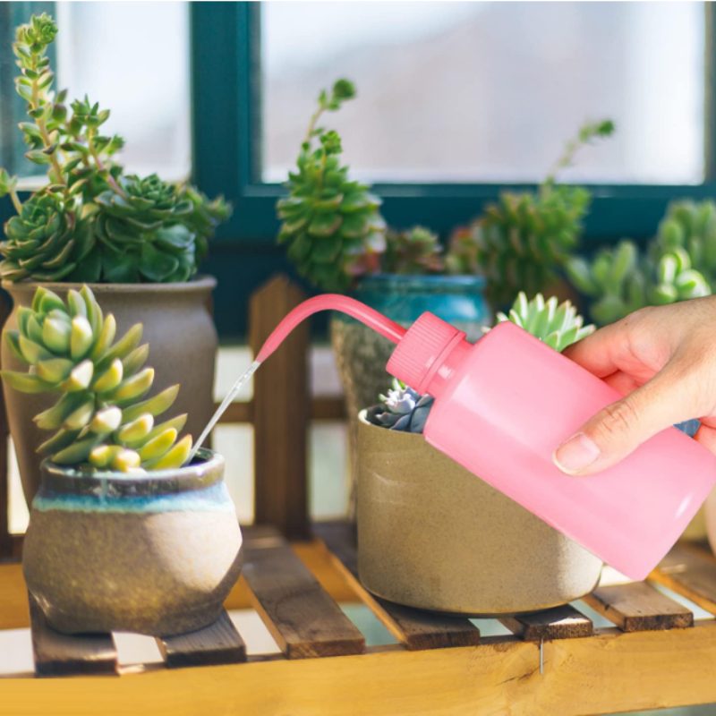 2pcs 250ML Watering Bottles for Succulent Plants & Eyelash Cleaning