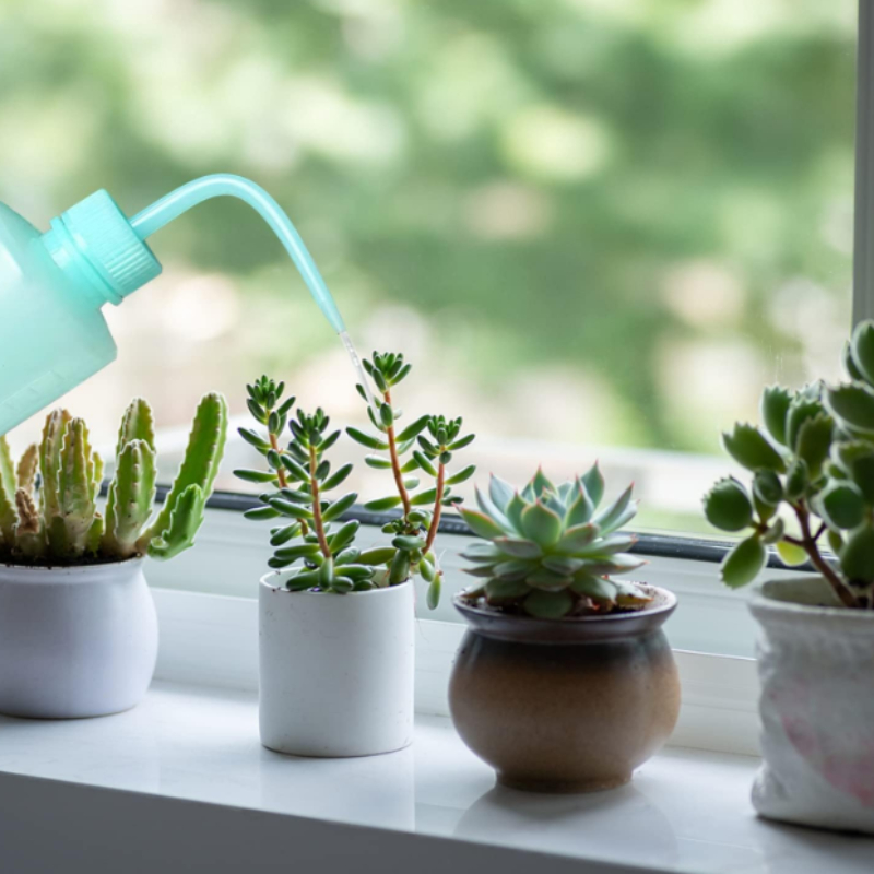 2pcs 250ML Watering Bottles for Succulent Plants & Eyelash Cleaning