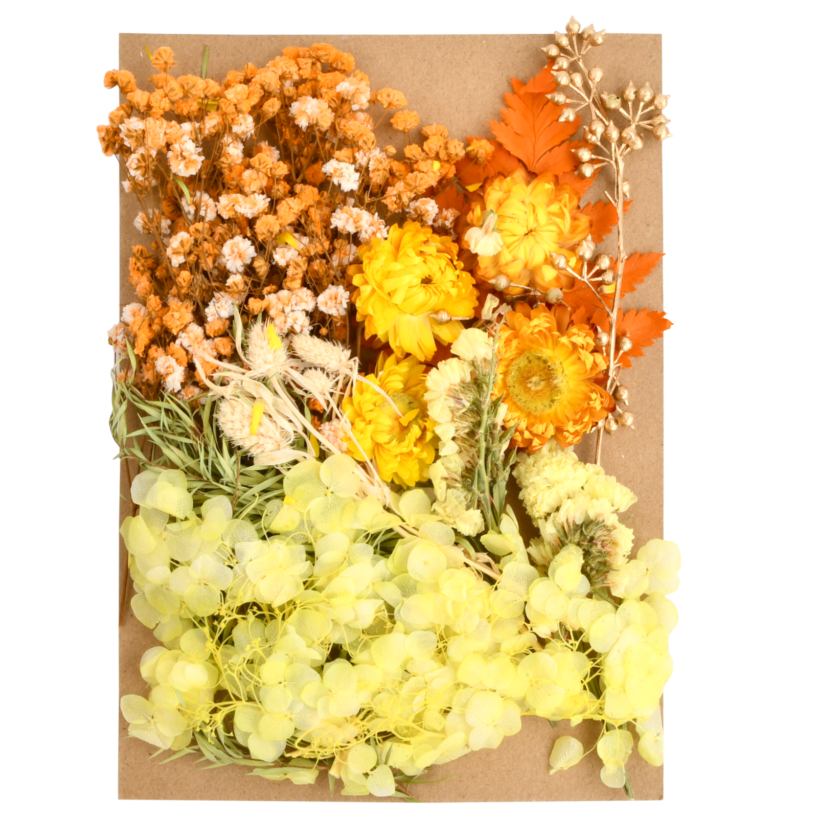 Natural Dried Flower, Mixed Dried Flowers Pressed Dried Flower