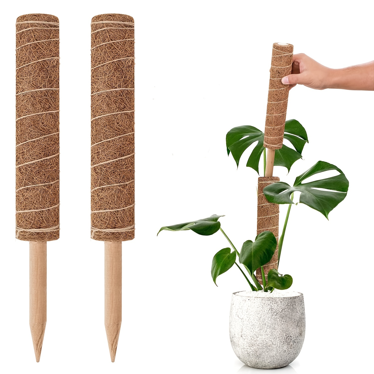 Moss Pole, 15.7 in/2 Pcs Coco Coir Plant Support Stakes for Indoor Potted  Plants Monstera, Philodendron, Pothos Plant Live and Climbing 