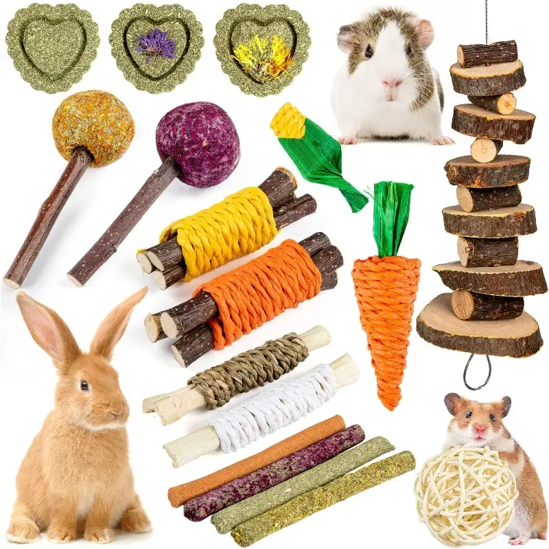 Rabbit Chew Toys Set Bunny For