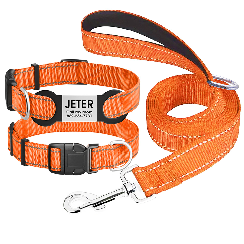 Jeter Dog Collar 