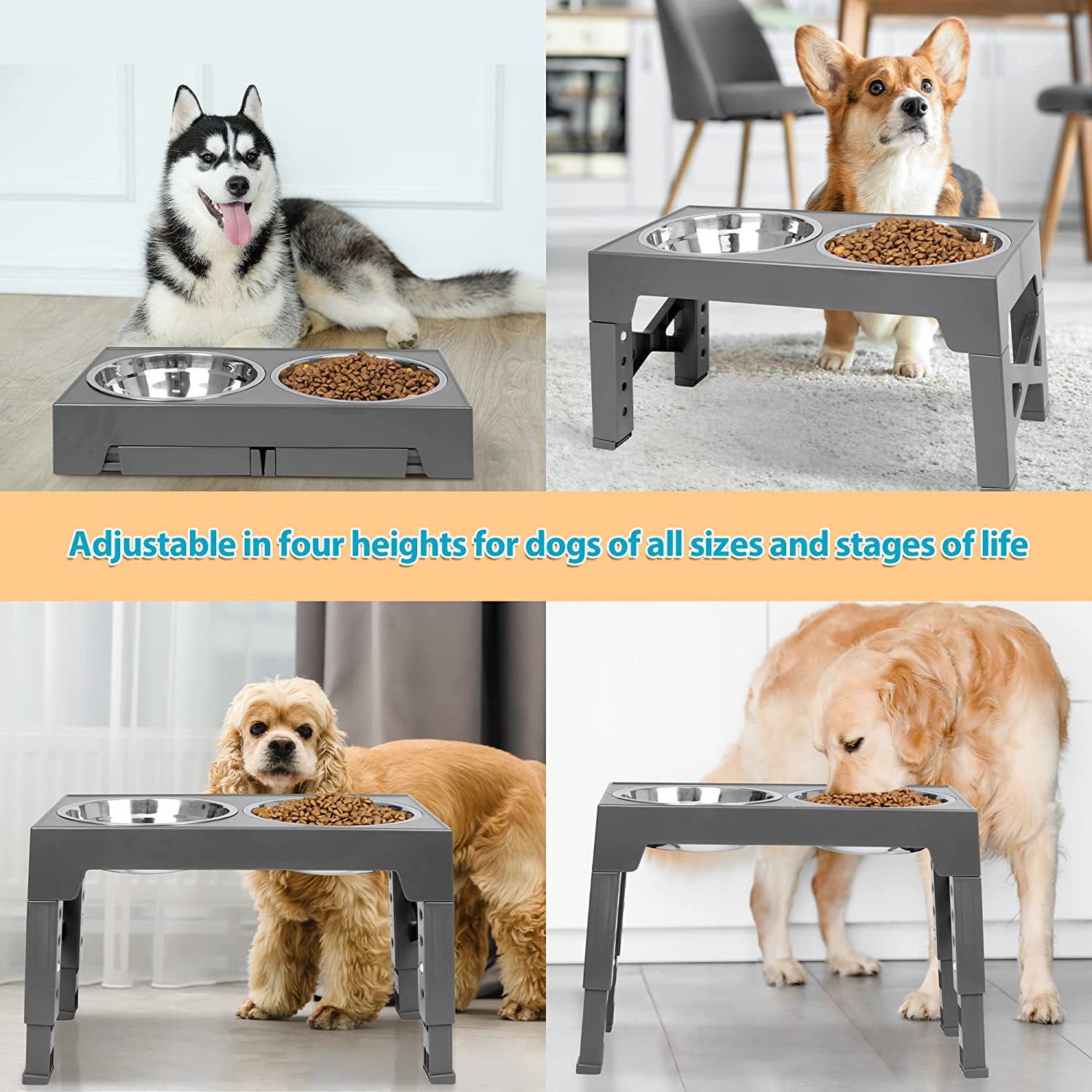 Elevated Dog Double Bowls, 4 Heights Adjustable Raised Dog Bowl Feeder  Stand With 2 Stainless Steel Pet Bowls For Small Medium Dogs Cats - Temu