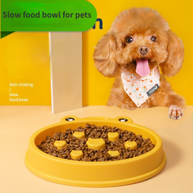 Plastic Pet Slow Feeder Dog Food Bowl With Non-slip Bottom Anti-choking Pet  Feeding Puzzle Bowl For Dogs And Cats Pet Supplies - Temu