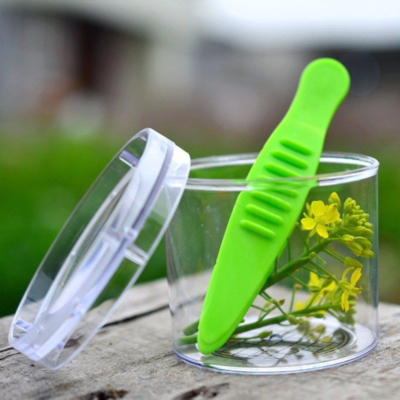 Explore Nature With Kids: Outdoor Insect Scissors Clip With - Temu