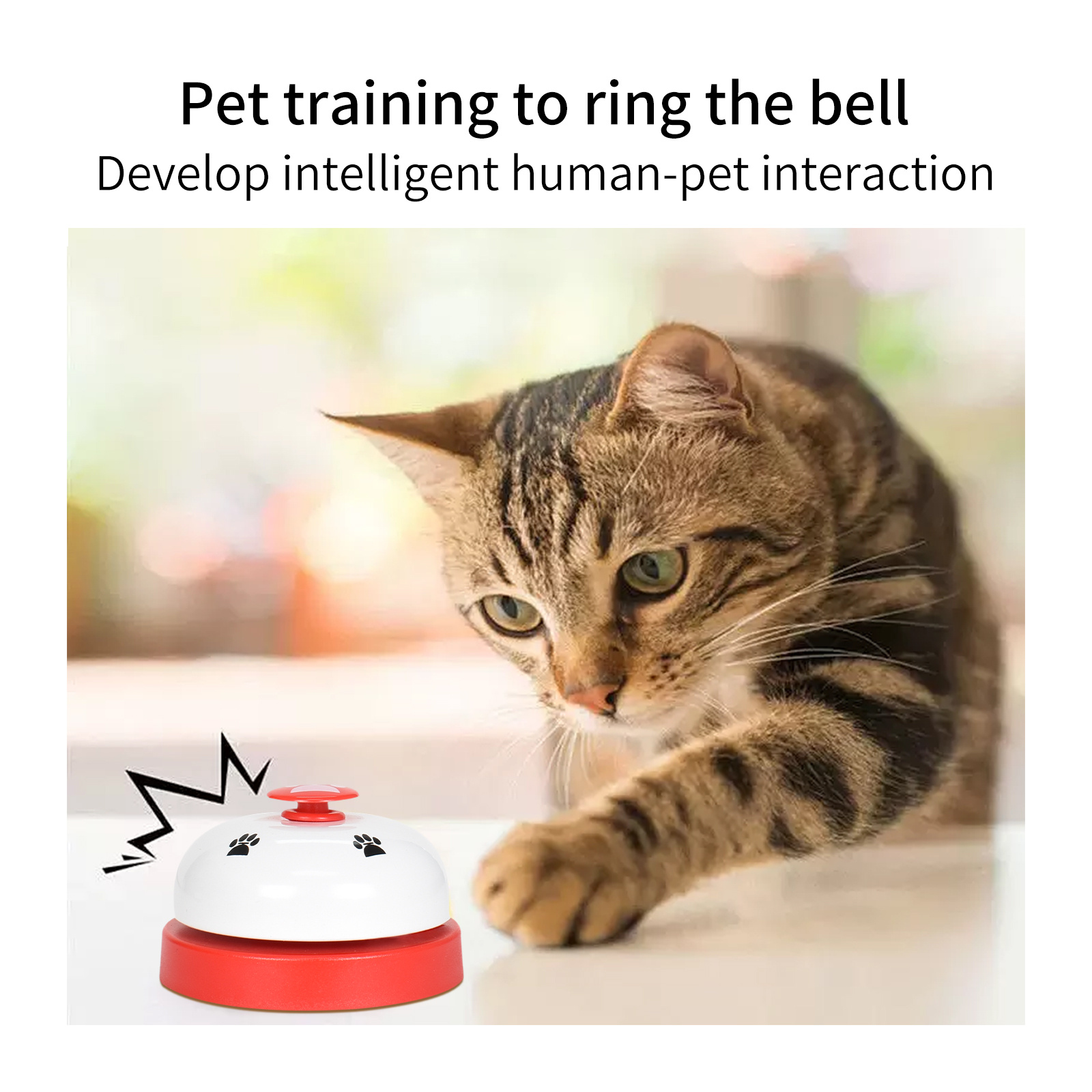 cat doorbell - sonnette pour chat et chien