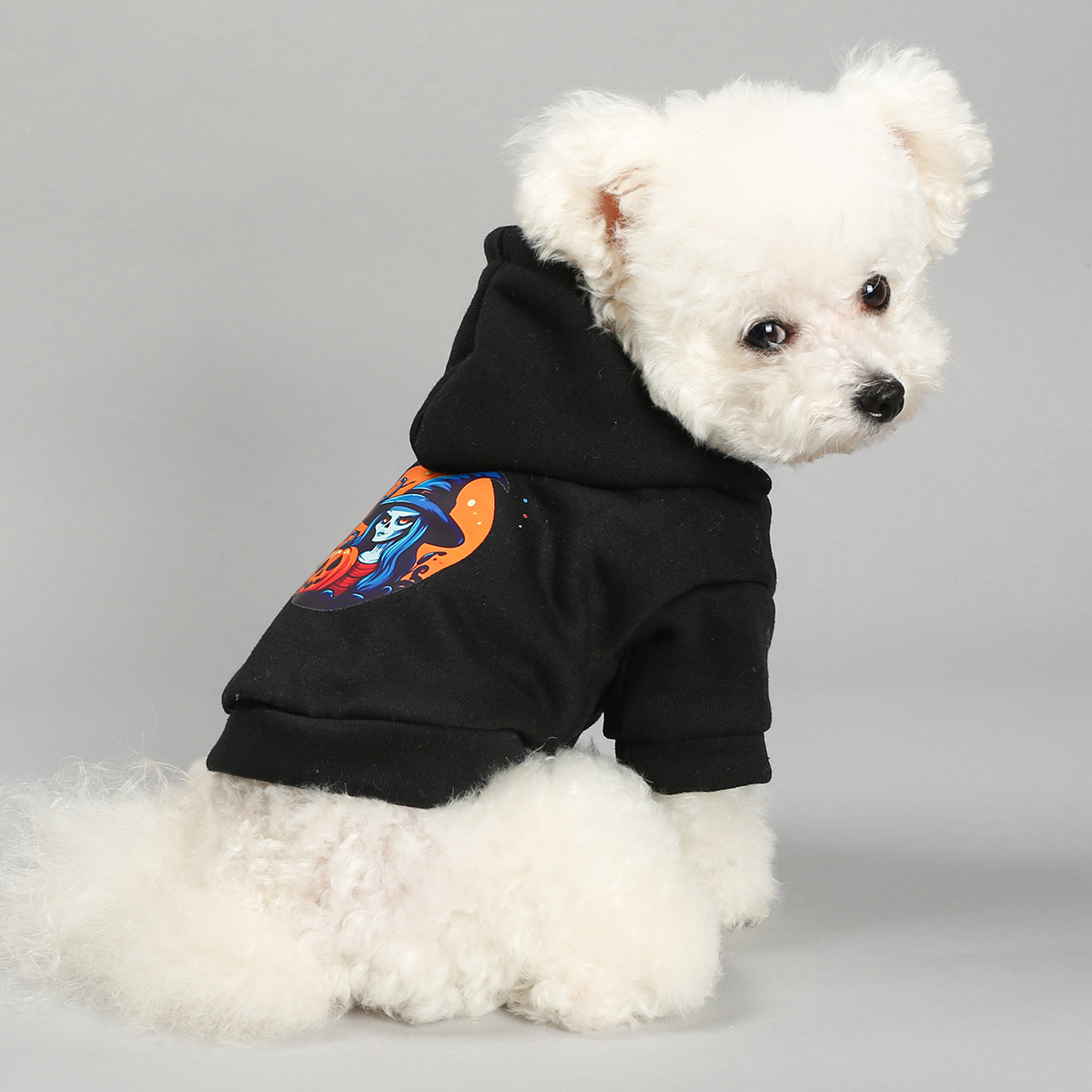 Halloween Pet Sweatshirt Witch Skull Pumpkin Black Dog Hoodie Puppy Pullover  General Pet Costumes For Small And Medium Dogs - Temu