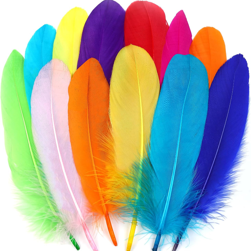 Colorful Goose Feather Crafts Craft Colorful Feathers Diy - Temu