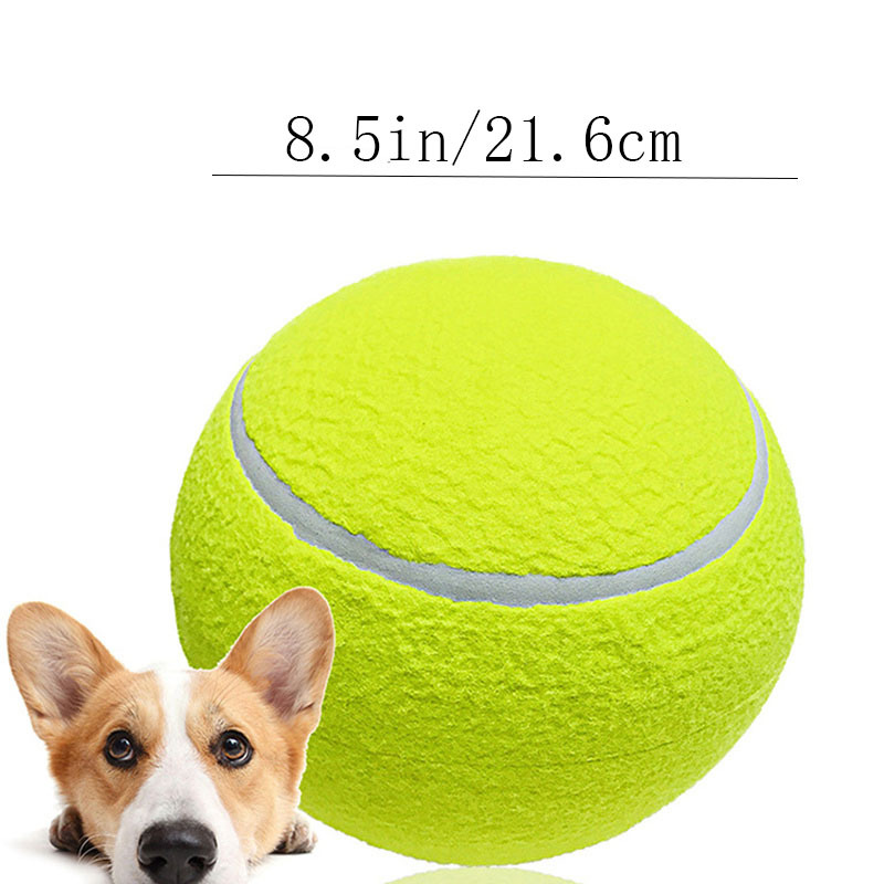 Grosse balle de tennis pour chien