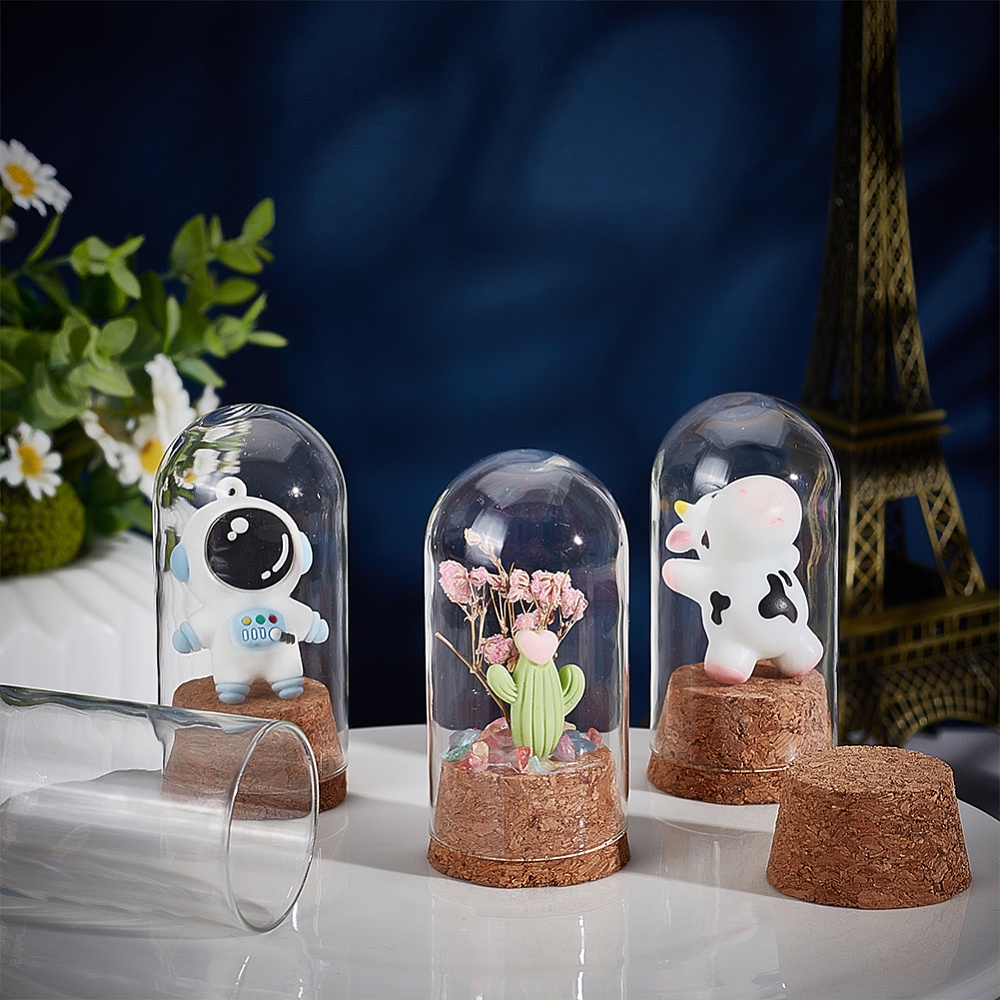 Glass Dome Cloche H-6, 10.5, 14 Decorative Showcase Display for Antique  Collectibles Bell Jar Terrarium & Dessert Cover