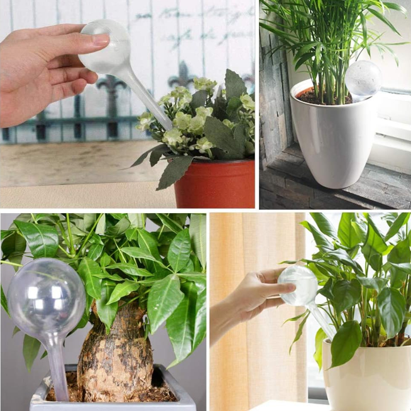 Ampoules à arrosage automatique pour plantes d'intérieur, jardin