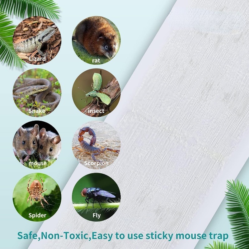 Garsum 10 Pack Mouse Glue Trap, Peanut Butter Scent Sticky Traps, Heavy  Duty Pest Board Insect Spider Mice, Extra Strength Trampas para Ratones  Indoor