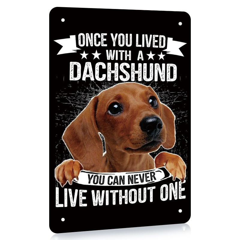 Nombres para Perros Salchichas: El Toque Divertido para Tu Dachshund